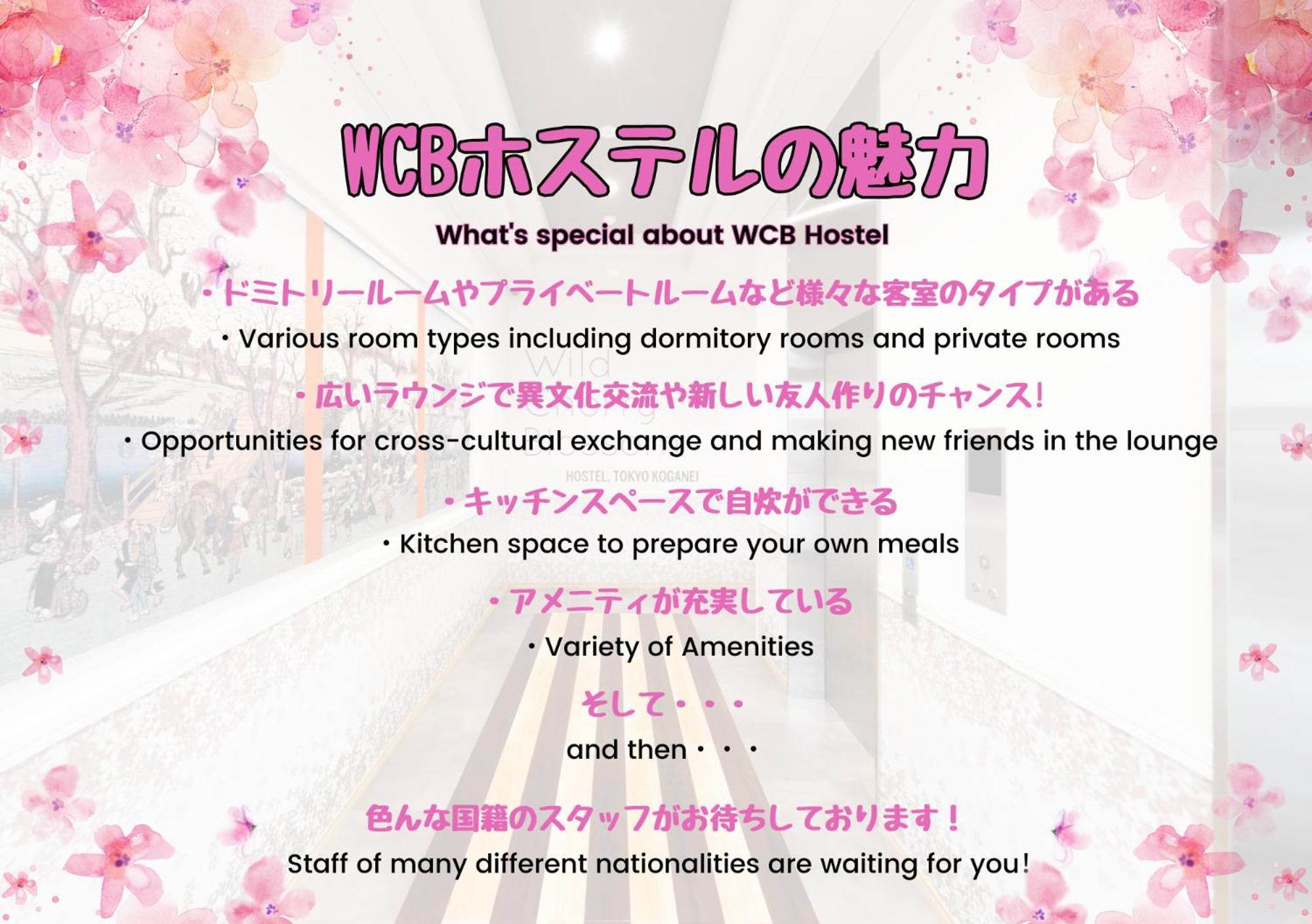 Wild Cherry Blossom-Hostel,Tokyo Koganei- エクステリア 写真